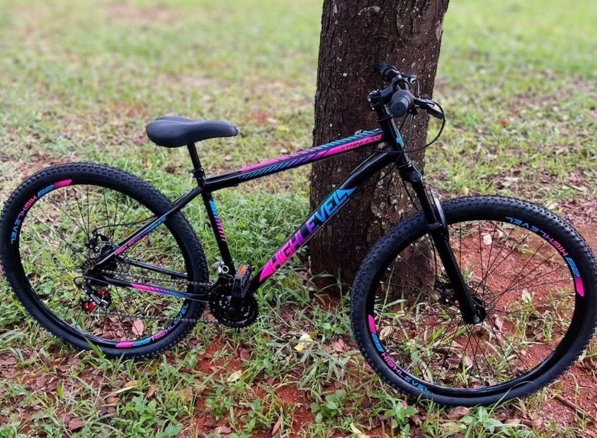 Bicicleta Aro 29 Highlevel Aço Carbono Freios a Disco 21 Marchas
